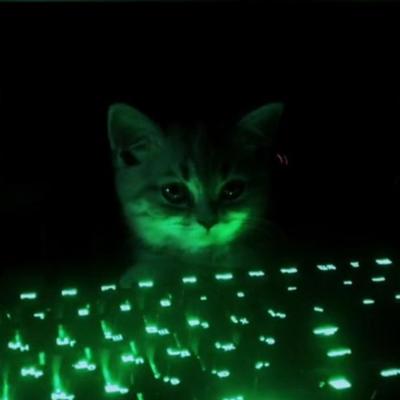 sk1d@corteximplant.com