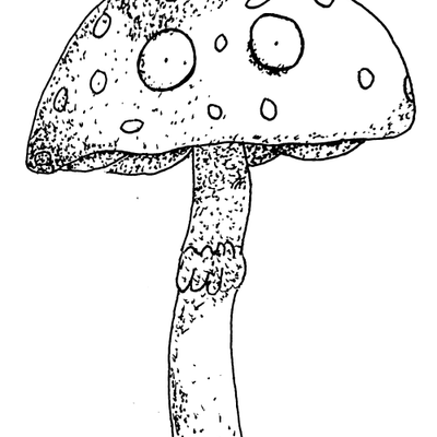 Shroomy