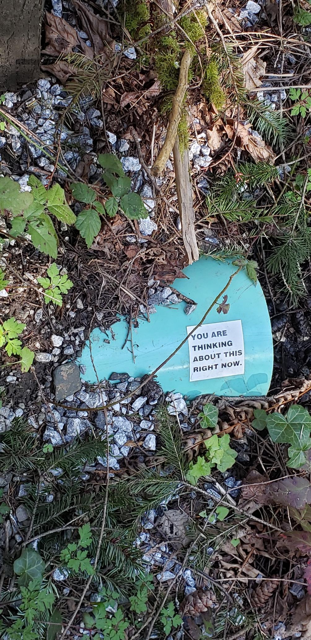 Out of a forest floor juts a teal plastic water pipe. On it is a sticker that reads "you are thinking about this right now".